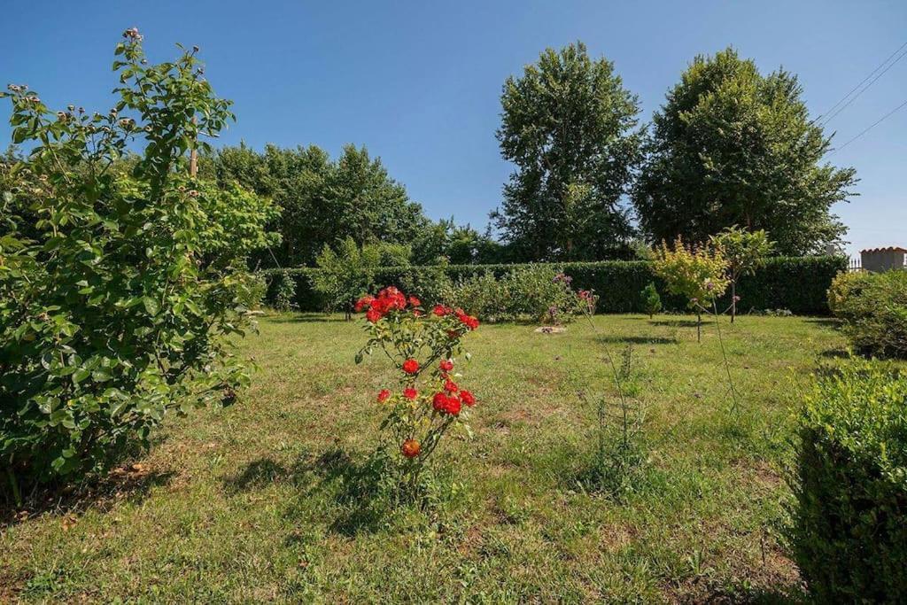 Apartment Radeki Glavica 112B Loborika Εξωτερικό φωτογραφία